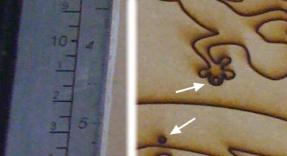 Img 0249 Detail
